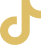 TikTok Icon